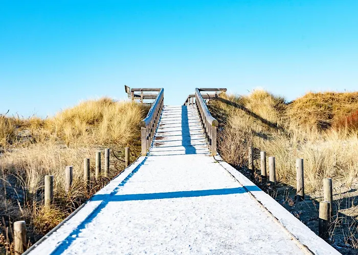 Samtmuschel By Interhome *